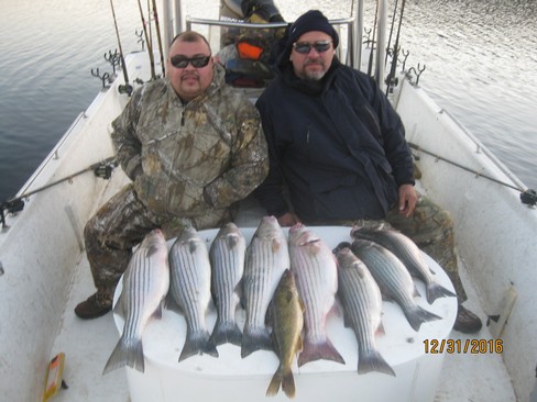 Nice Striped Bass